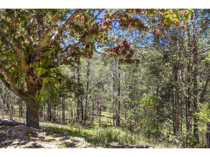 Mooloolah Valley QLD 4553