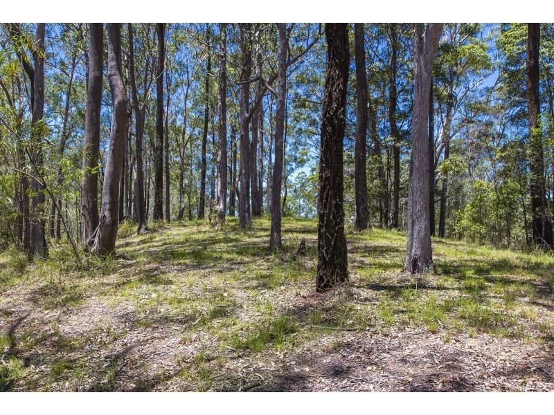 Mooloolah Valley QLD 4553