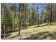 Mooloolah Valley QLD 4553