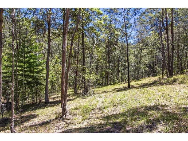 Mooloolah Valley QLD 4553