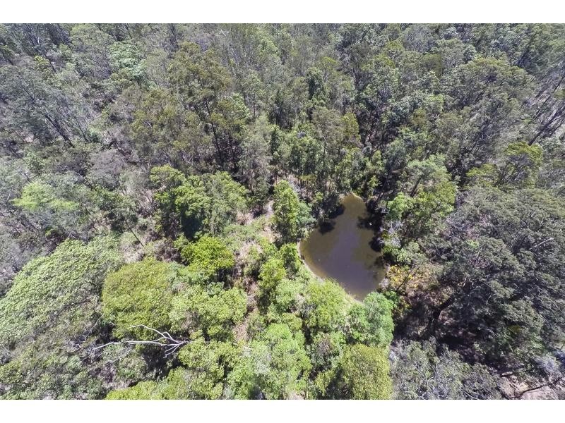 Mooloolah Valley QLD 4553