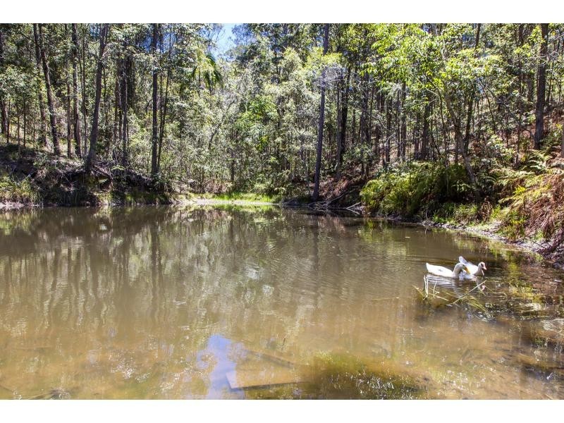 Mooloolah Valley QLD 4553