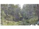 Mooloolah Valley QLD 4553