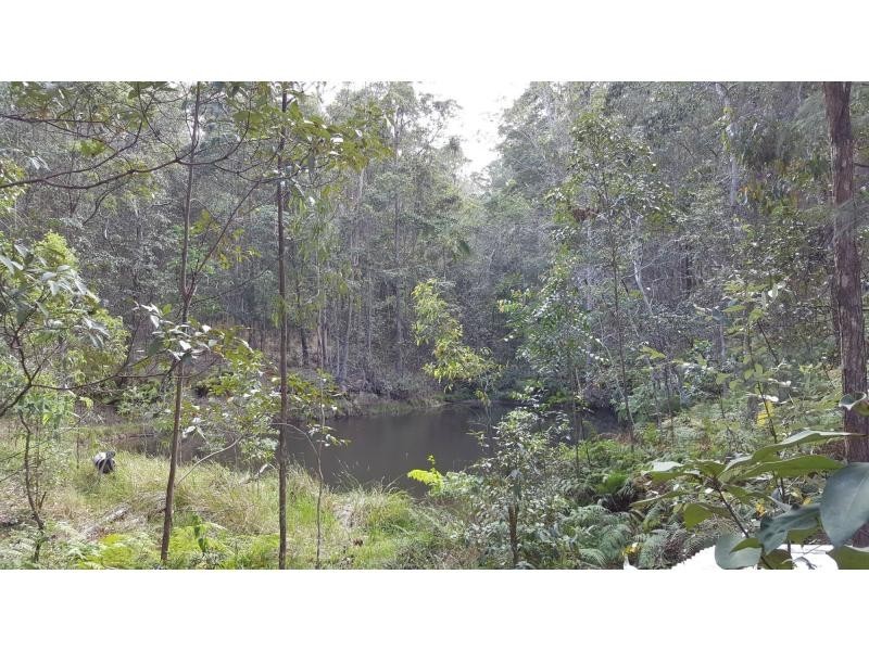 Mooloolah Valley QLD 4553