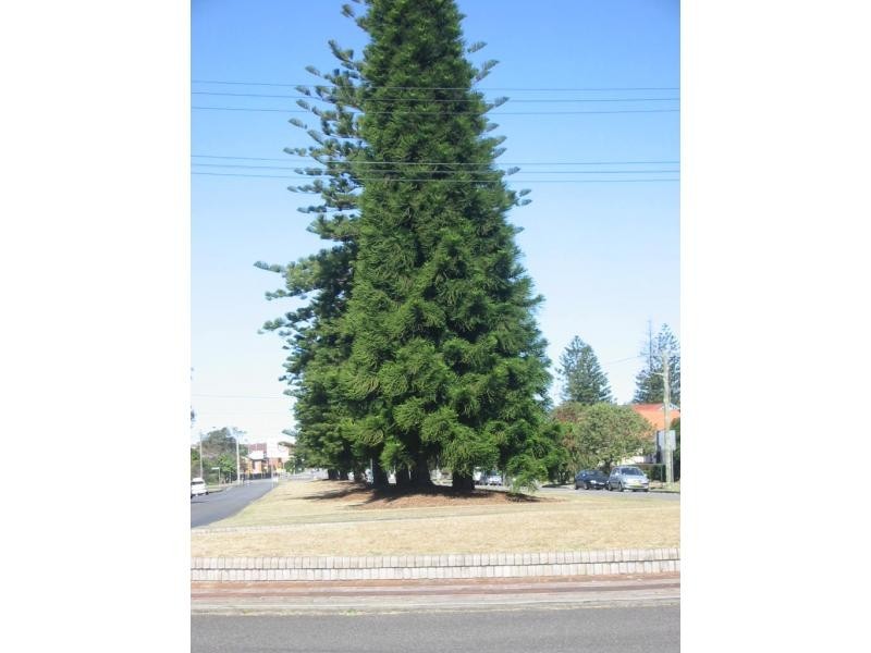 Hamilton South NSW 2303