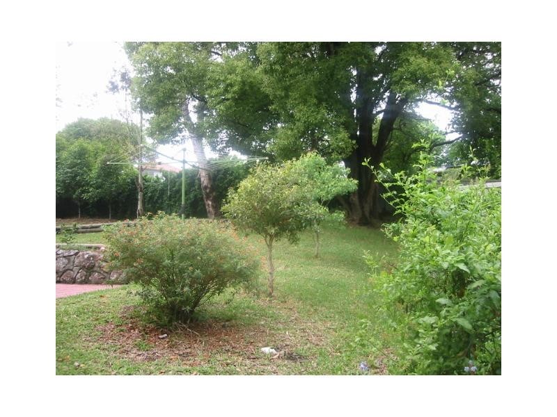 6 Jennifer Street, NSW, Charlestown NSW 2290