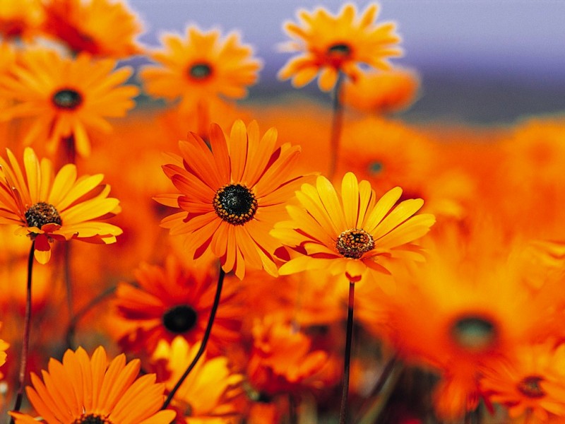 1/214 Denison Street, Broadmeadow NSW 2292