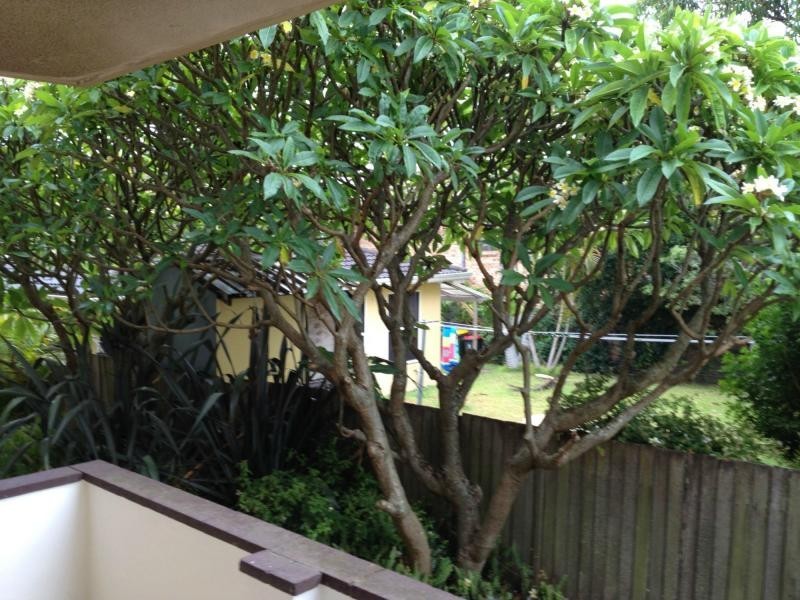 Unit 5/45 Ridge Street, NSW, Merewether NSW 2291