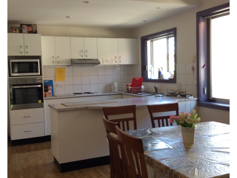 19 Alfred Street, Waratah NSW 2298