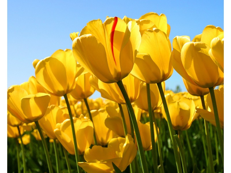 1/22 Bull St, Mayfield NSW 2304