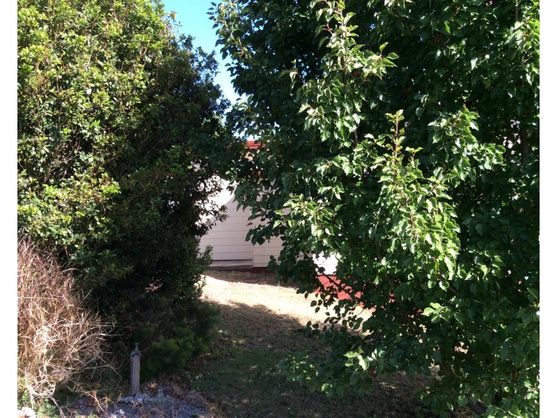 11 Perks St, Wallsend NSW 2287