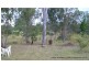 23 Gilgai Road, Delan QLD 4671