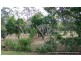 23 Gilgai Road, Delan QLD 4671
