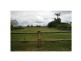 174 Zillmann Road, Wallaville QLD 4671