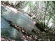 1691 Thowgla Valley Road, Thowgla Valley VIC 3707
