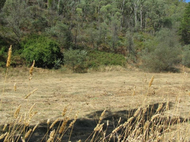 12-12A Thougla Valley Road, Thowgla Valley VIC 3707