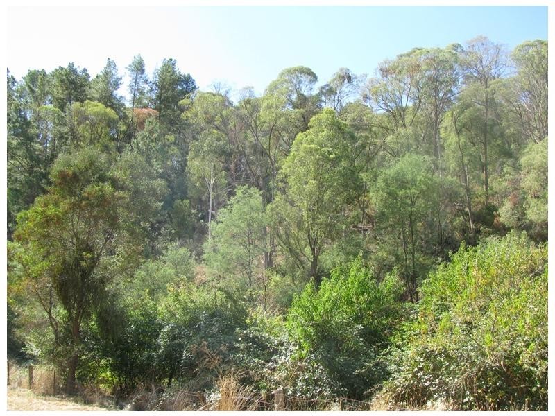 12-12A Thougla Valley Road, Thowgla Valley VIC 3707
