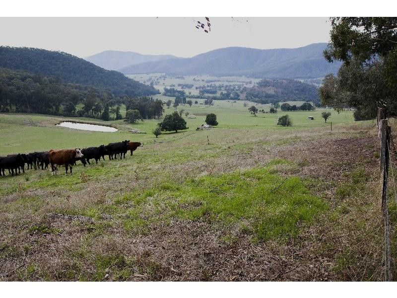 2A Nariel Gap Road, Thowgla Valley VIC 3707