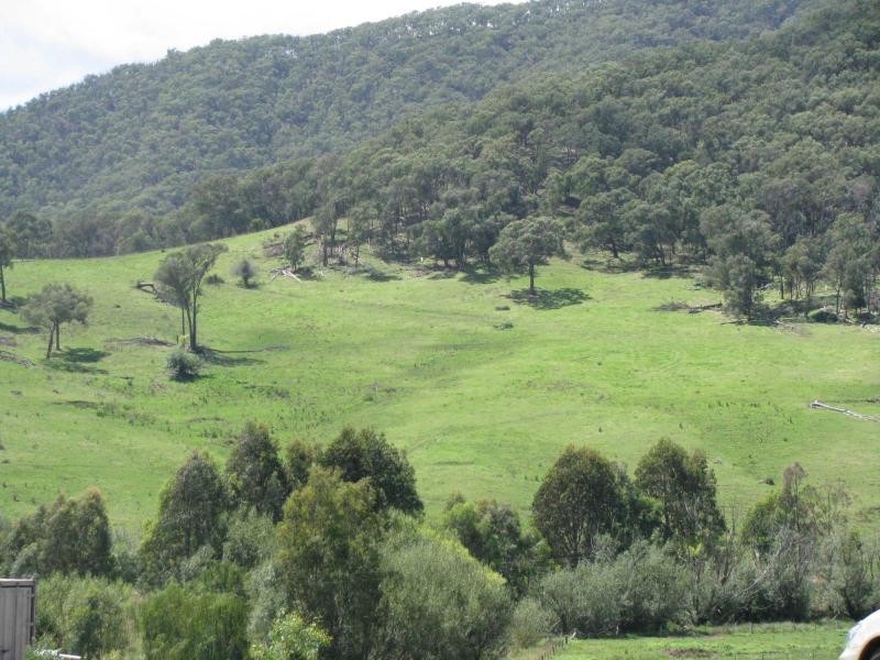 62 Nariel Gap Road, Thowgla Valley VIC 3707