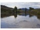 277 Holbrook Road, Jingellic NSW 2642