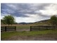 277 Holbrook Road, Jingellic NSW 2642