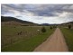 277 Holbrook Road, Jingellic NSW 2642