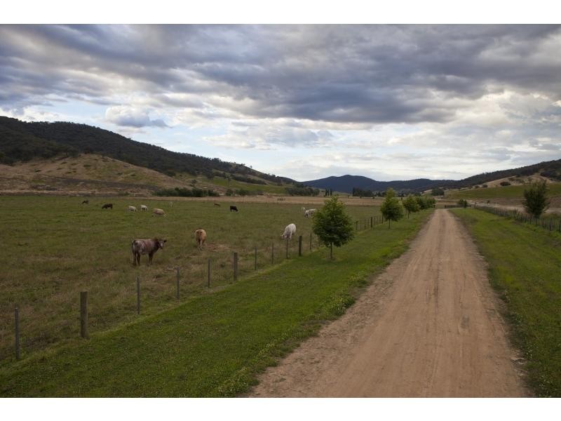 277 Holbrook Road, Jingellic NSW 2642