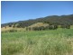 277 Holbrook Road, Jingellic NSW 2642