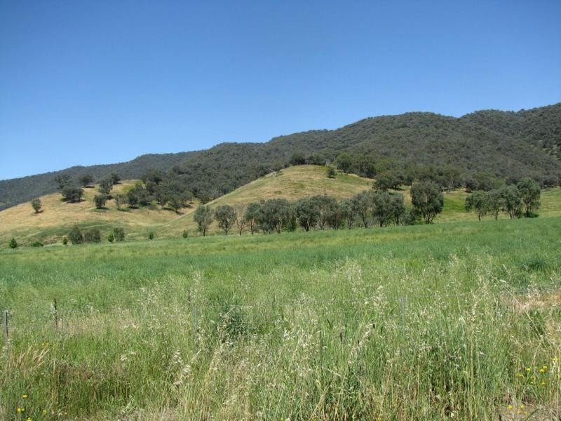 277 Holbrook Road, Jingellic NSW 2642