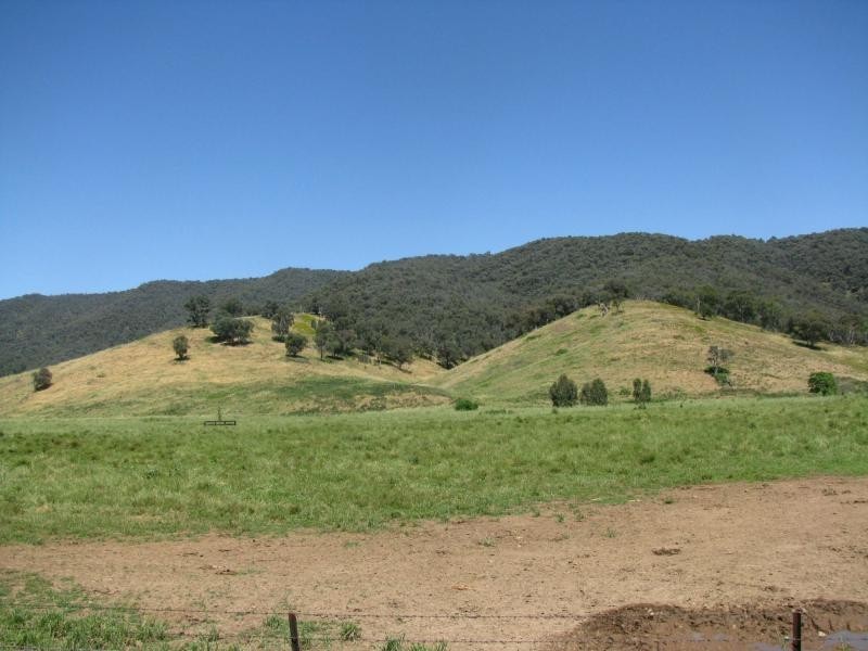277 Holbrook Road, Jingellic NSW 2642