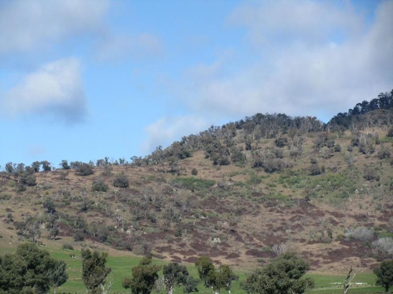 12A DWYERS Lane, Colac Colac VIC 3707