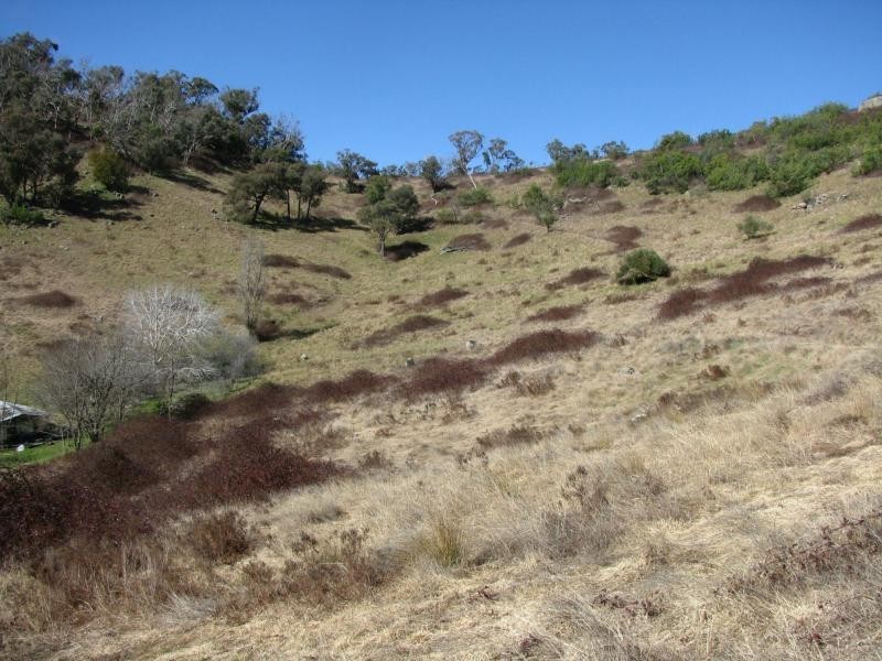 12A DWYERS Lane, Colac Colac VIC 3707