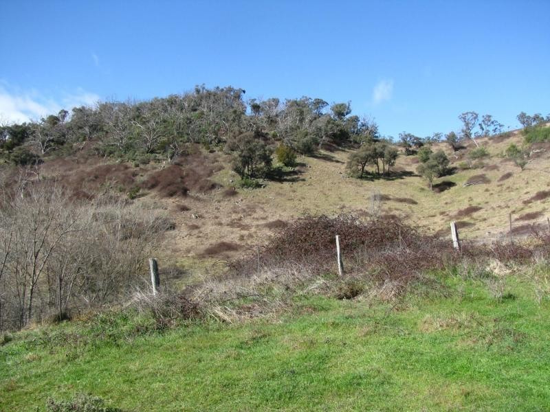 12A DWYERS Lane, Colac Colac VIC 3707