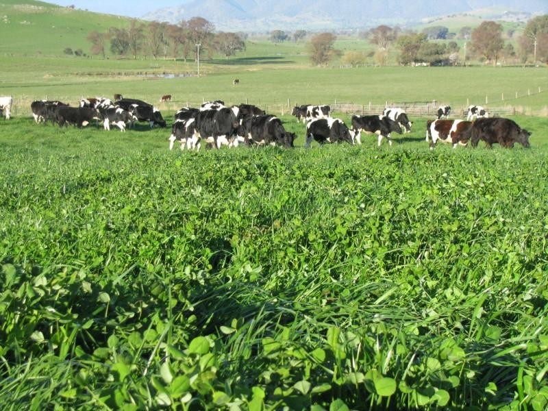 2 Back Cudgewa Road, Colac Colac, Cudgewa VIC 3705