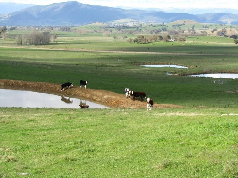 2 Back Cudgewa Road, Colac Colac, Cudgewa VIC 3705