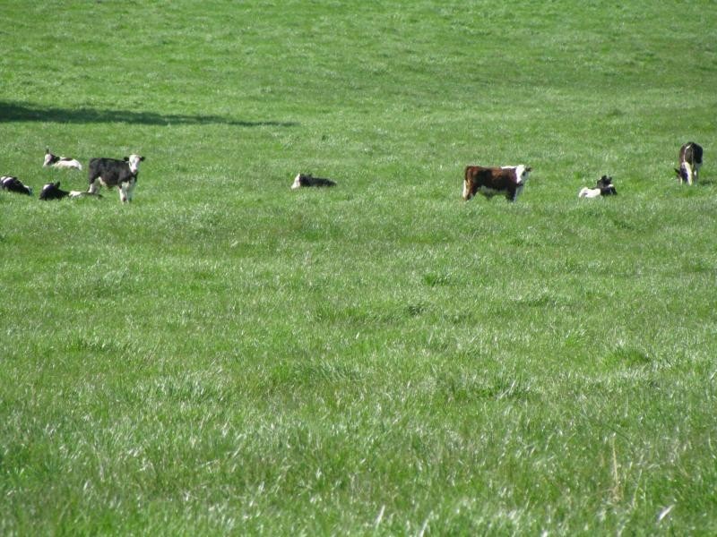 2 Back Cudgewa Road, Colac Colac, Cudgewa VIC 3705