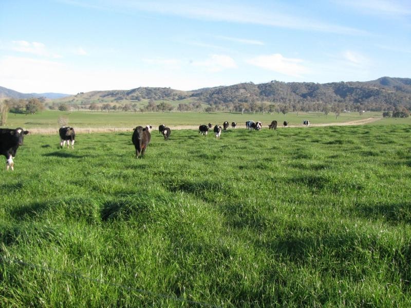 2 Back Cudgewa Road, Colac Colac, Cudgewa VIC 3705