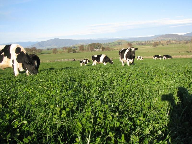 2 Back Cudgewa Road, Colac Colac, Cudgewa VIC 3705