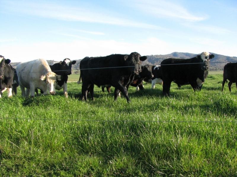 2 Back Cudgewa Road, Colac Colac, Cudgewa VIC 3705