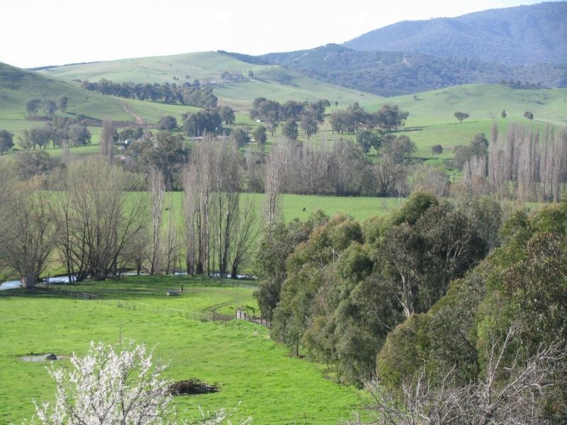 50 Welumba Creek Road North, Tooma NSW 2642