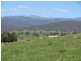 50 Welumba Creek Road North, Tooma NSW 2642