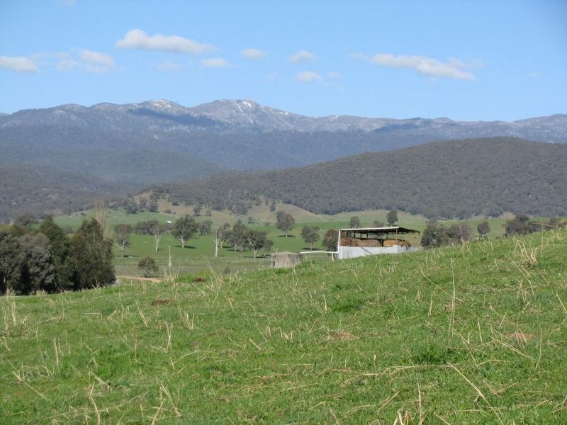 50 Welumba Creek Road North, Tooma NSW 2642
