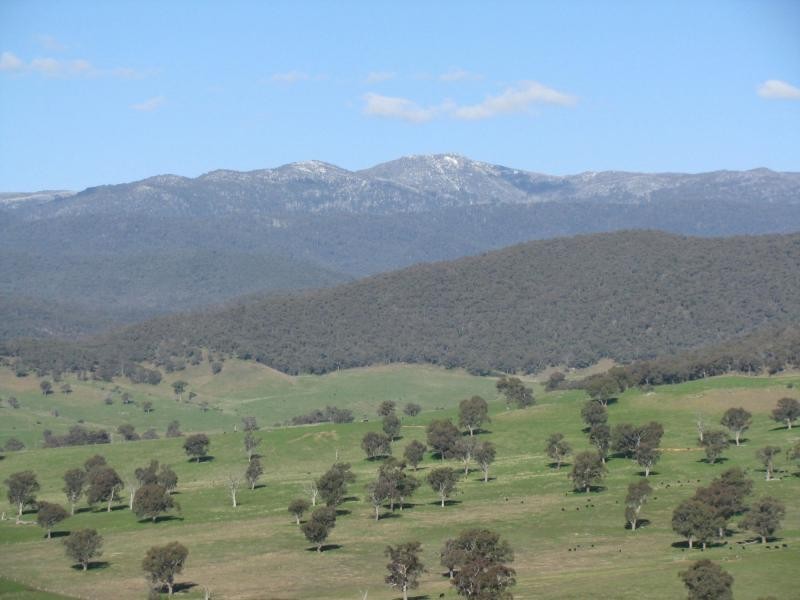 50 Welumba Creek Road North, Tooma NSW 2642
