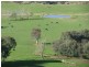 50 Welumba Creek Road North, Tooma NSW 2642