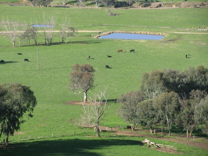 50 Welumba Creek Road North, Tooma NSW 2642