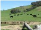 50 Welumba Creek Road North, Tooma NSW 2642