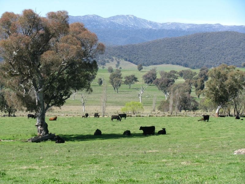 50 Welumba Creek Road North, Tooma NSW 2642