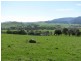 50 Welumba Creek Road North, Tooma NSW 2642