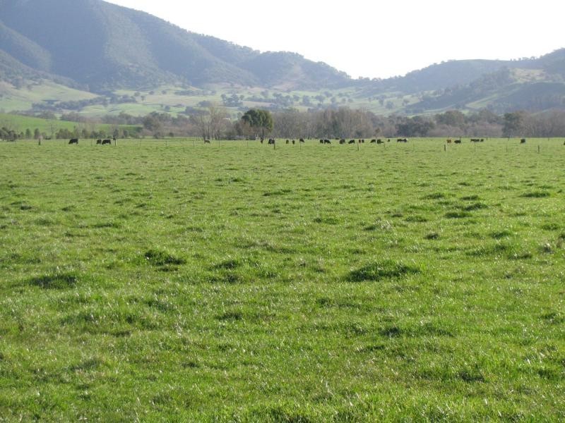 Lot 1 Tooma Road, Bringenbrong NSW 3707
