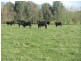 Lot 1 Tooma Road, Bringenbrong NSW 3707